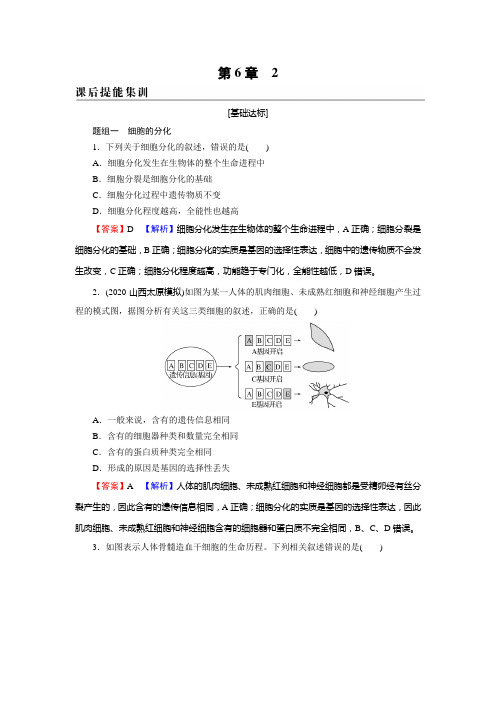 2024-2025学年高中生物新人教版必修1配套练习第6章2