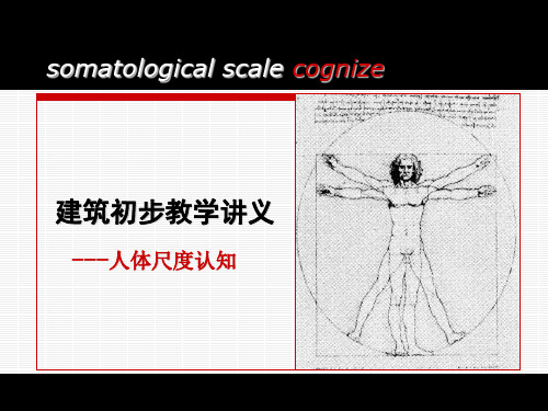 人体尺度参数