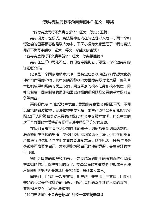 “我与宪法同行不负青春韶华”征文一等奖