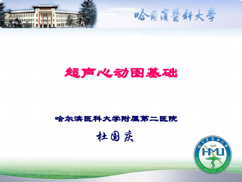 心脏超声