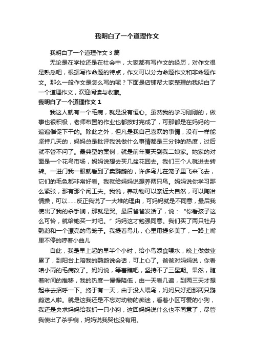 我明白了一个道理作文