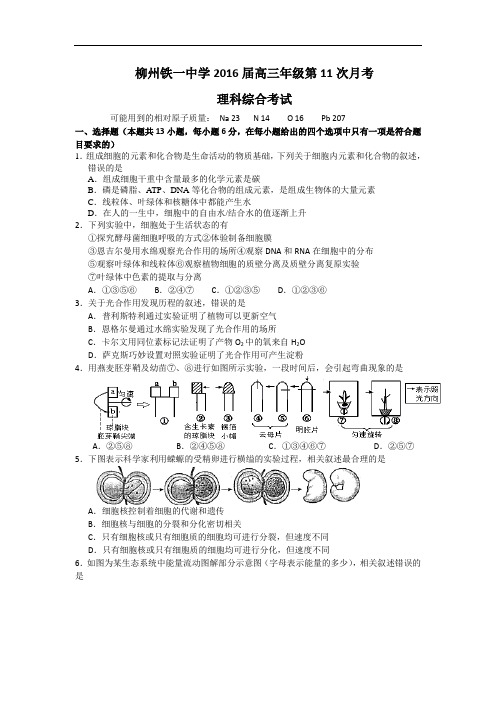 广西柳州铁路第一中学2016届高三下学期第11次月考(5月