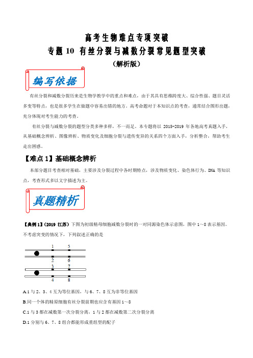 备战2021届高考生物难点突破专题10 有丝分裂与减数分裂常见题型归纳(解析版)