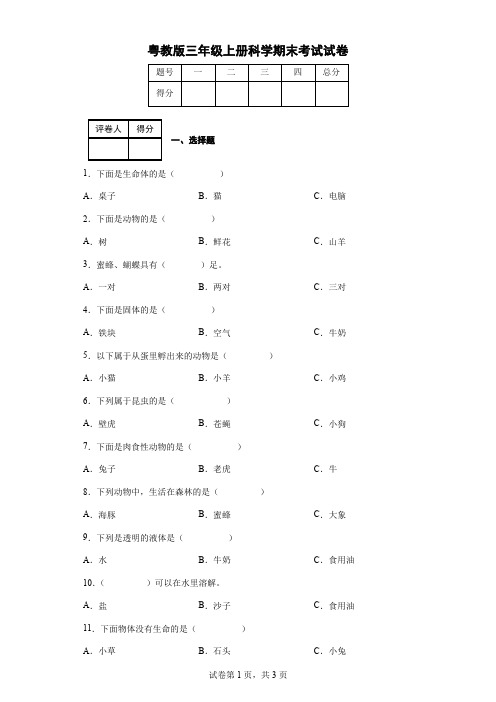 粤教版三年级上册科学期末考试试卷