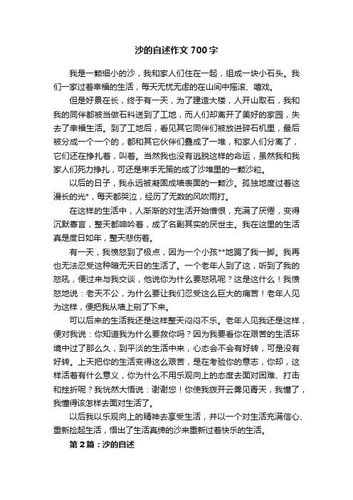 沙的自述作文700字