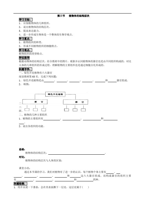 074.人教版七年级生物上册2.2.3植物体的结构层次-导学案