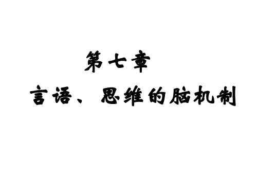 言语、思维的脑机制