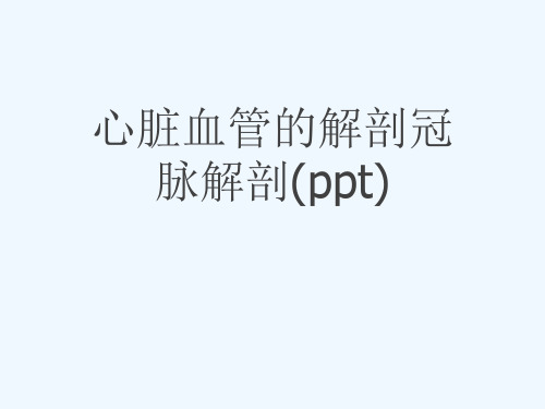 心脏血管的解剖冠脉解剖(ppt)