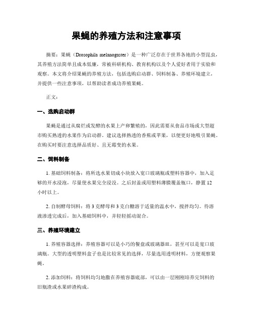 果蝇的养殖方法和注意事项