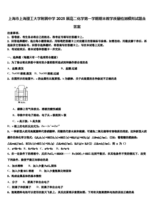 上海市上海理工大学附属中学2025届高二化学第一学期期末教学质量检测模拟试题含答案