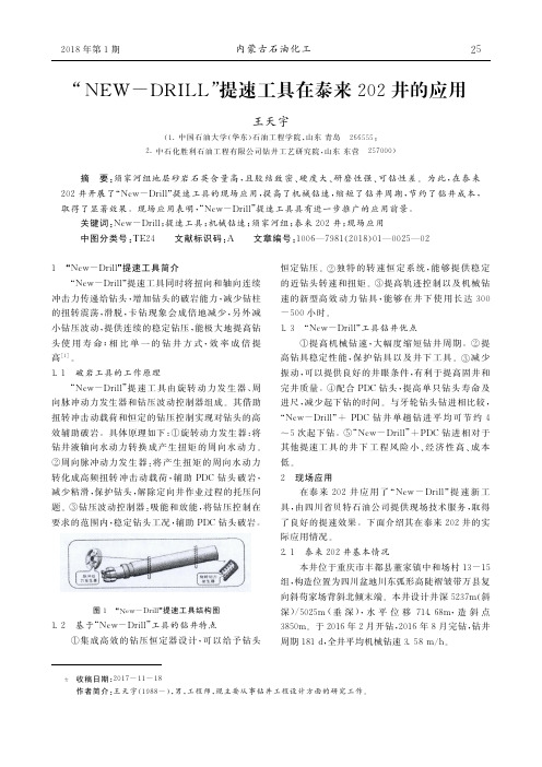 “NEW-DRILL”提速工具在泰来202井的应用