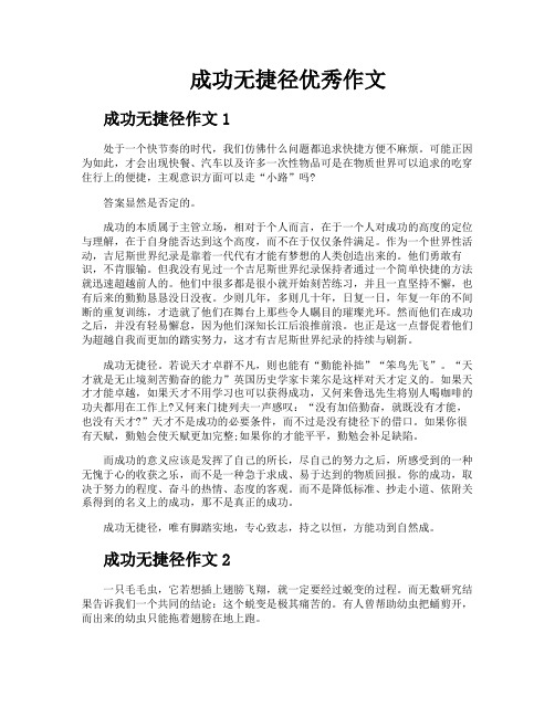 成功无捷径优秀作文