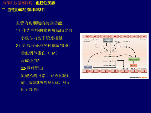 研究生病理学总论-局部血液循环障碍 3