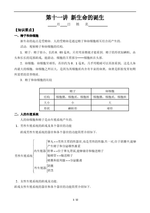 初中生物 新生命的诞生