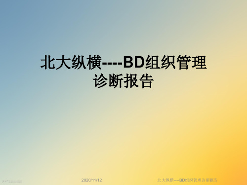 北大纵横----BD组织管理诊断报告