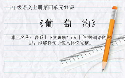 最新部编人教版小学二年级语文上册《葡萄沟》优质教学课件