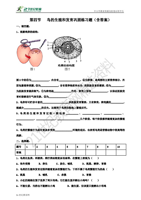 鸟的生殖和发育（含答案）