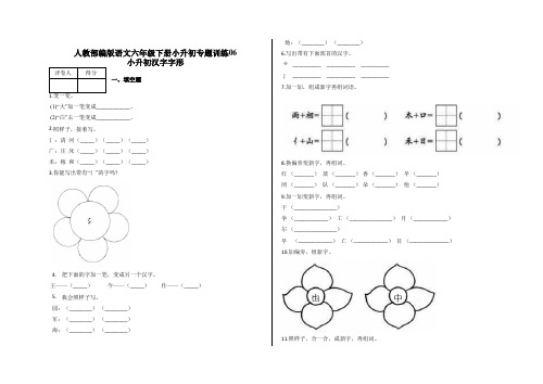 小升初专题训练 小升初汉字字形及答案-人教部编版语文