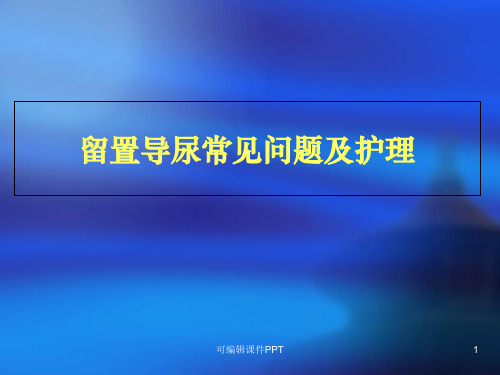 留置气囊导尿管常见问题及护理措施1ppt课件