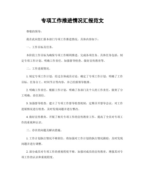 专项工作推进情况汇报范文