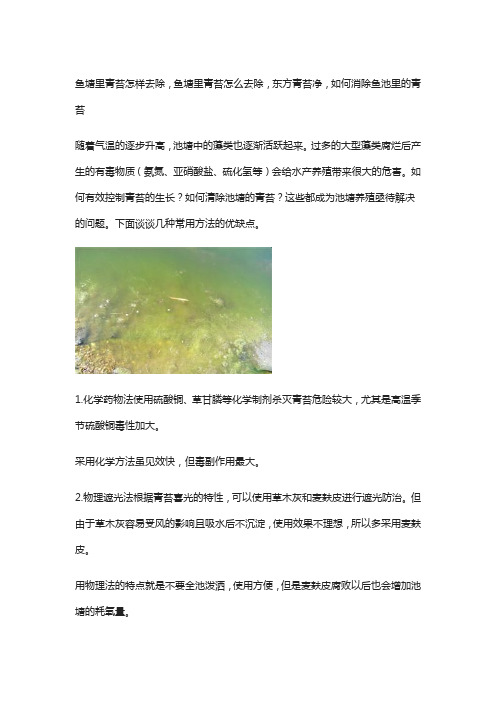 鱼塘里青苔怎样去除,鱼塘里青苔怎么去除,东方青苔净,如何消除鱼池里的青苔