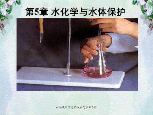 水溶液中的化学反应与水体保护