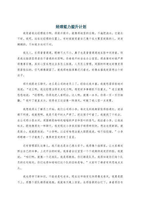 经理能力提升计划