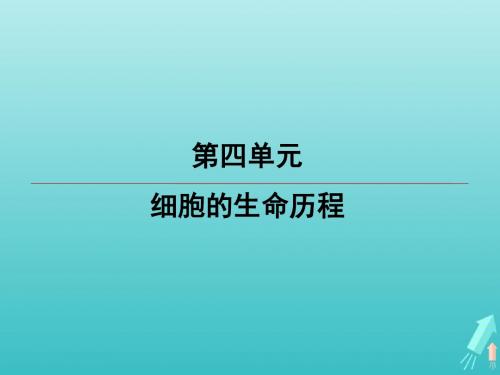 江苏省2020高考生物大一轮复习第4单元第2讲减数分裂和受精作用课件