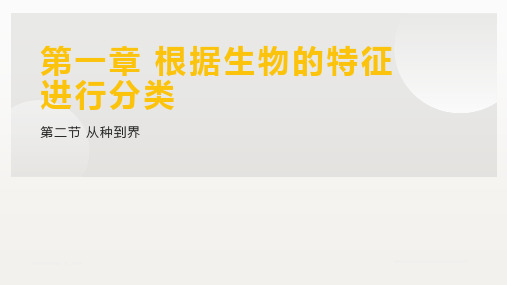 《从种到界》优课一等奖教学课件