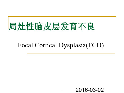 局灶性脑皮层发育不良