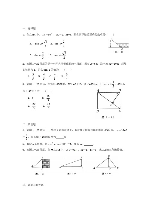 《锐角三角函数同步练习 》同步练习(附答案) 2022年北师大版
