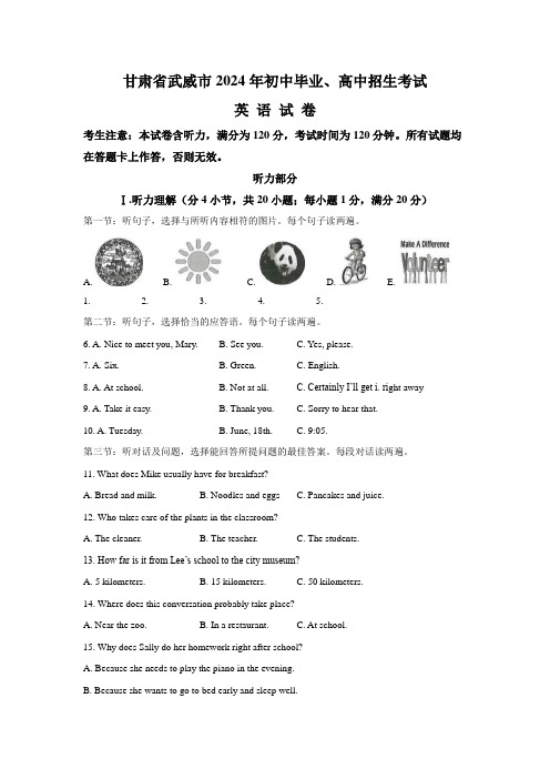 2024年甘肃省武威市、嘉峪关市、临夏州中考英语真题(word版,含答案)