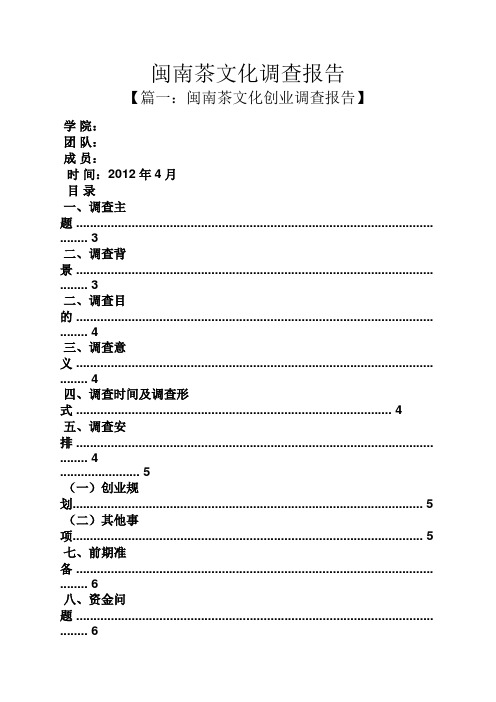 工作报告之闽南茶文化调查报告