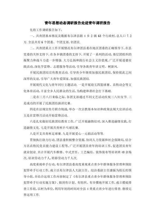 青年思想动态调研报告 走进青年调研报告 精品