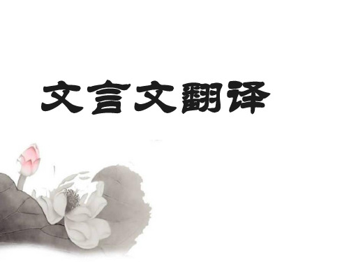 文言文翻译专题2012