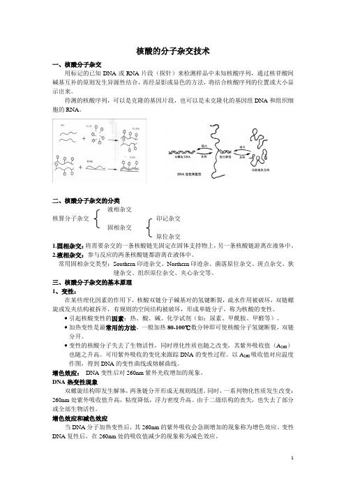 核酸分子杂交及PCR技术