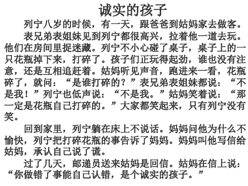 公开课小摄影师分析PPT课件