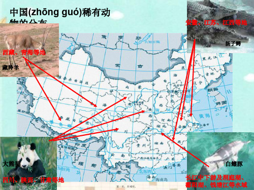 教科版六年级上册科学《校园生物分布图》课件1