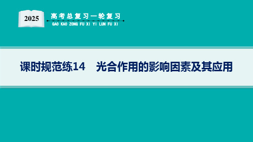 2025高考总复习一轮生物学配人教版(适用于新高考新教材)ppt 第3单元 细胞的代谢 课时规范练1