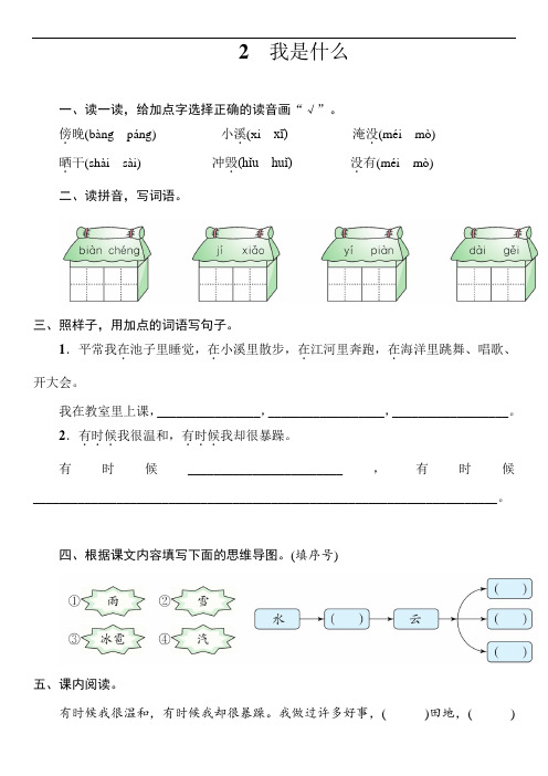 2 我是什么 同步练习(含答案)