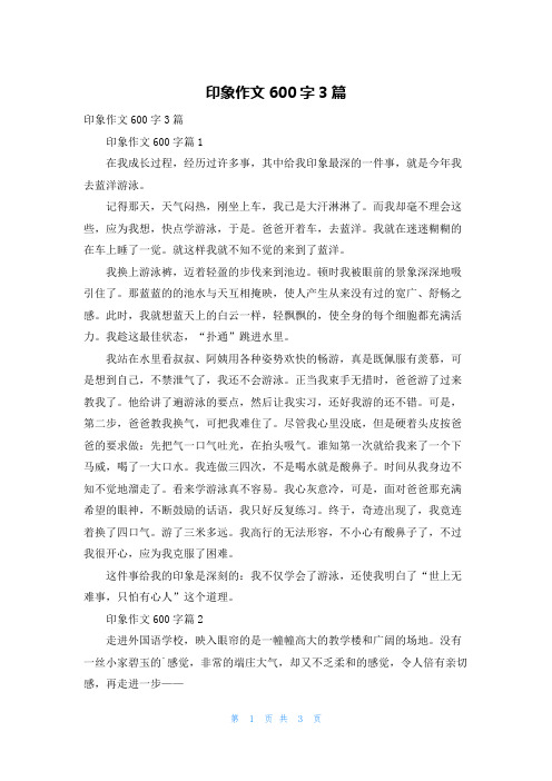 印象作文600字3篇