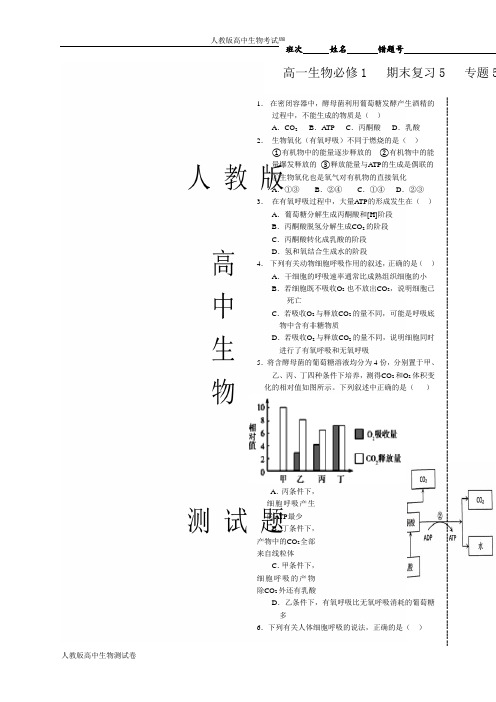 人教版高一下学期生物期末复习5专题5光合作用和呼吸作用含答案