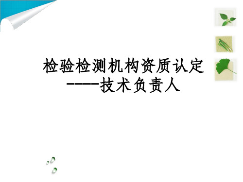 检验检测机构资质认定技术负责人ppt课件