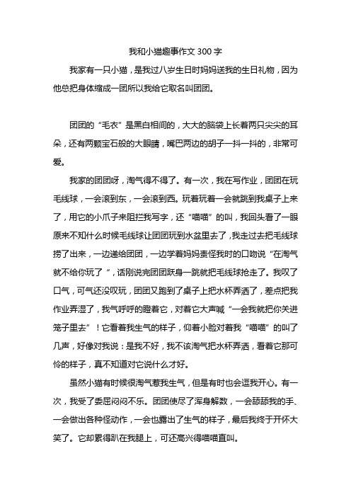 我和小猫趣事作文300字