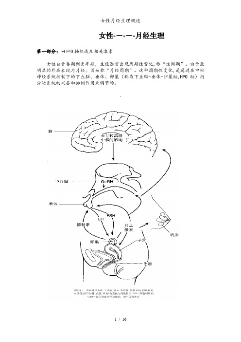 女性月经生理概述