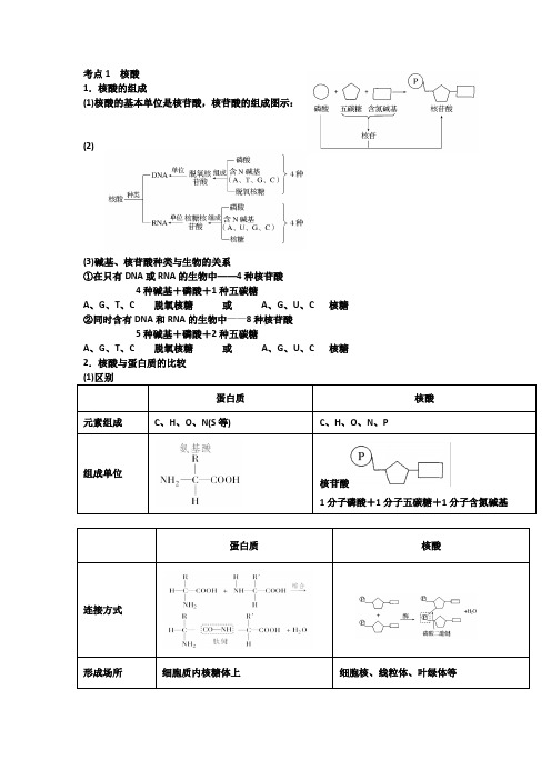 遗传信息的携带者核酸知识点