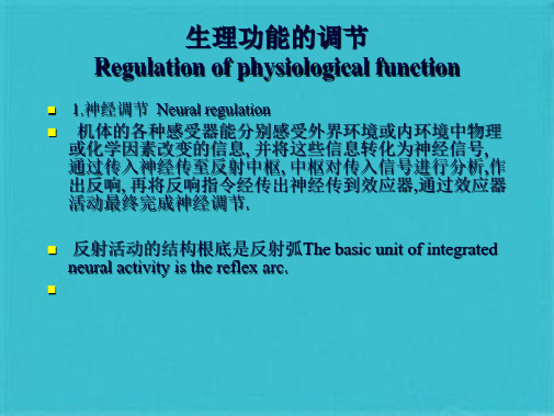 生理学    人体生理功能的调节(共39张PPT)