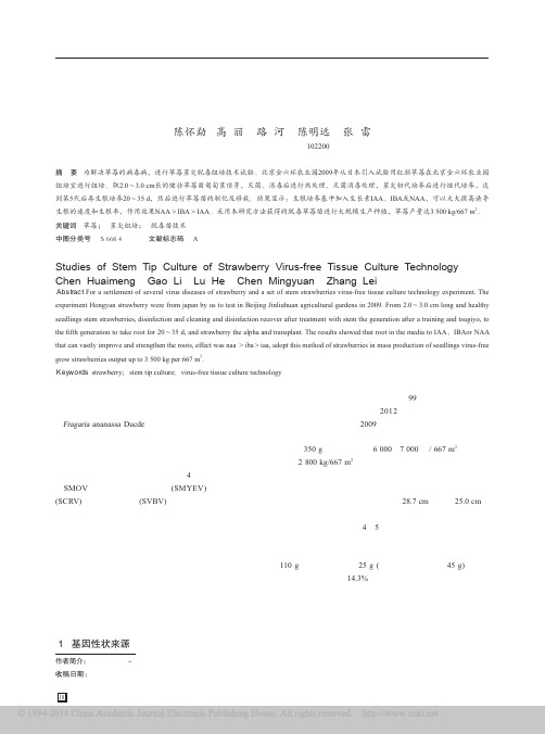 红颜草莓茎尖组培脱毒苗技术研究_陈怀勐 (1)