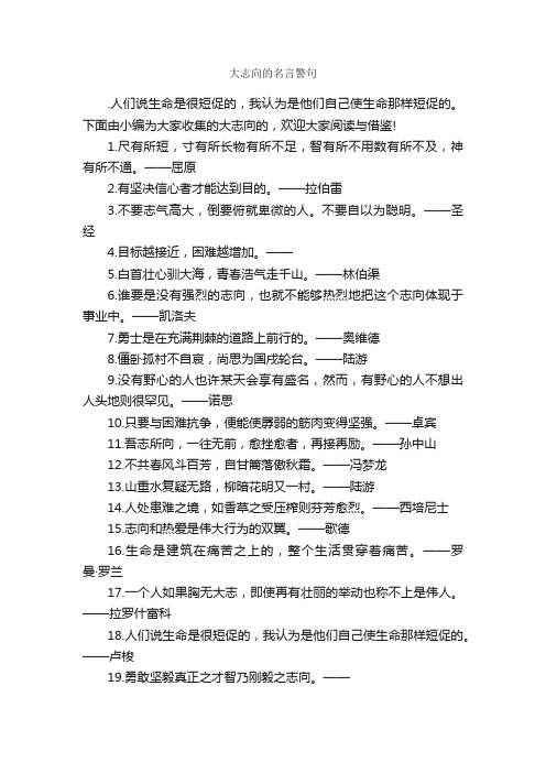 大志向的名言警句_名言警句