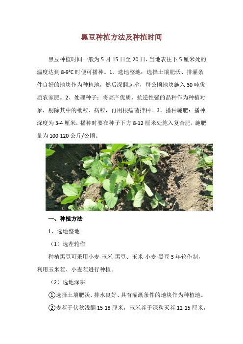 黑豆种植方法及种植时间